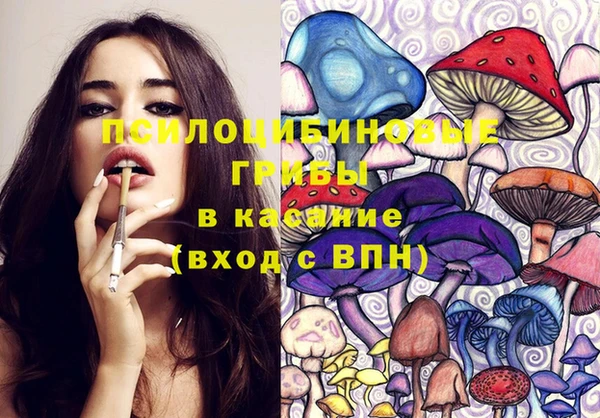 мяу мяу мука Балабаново