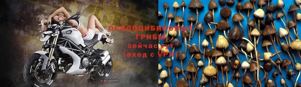 мяу мяу мука Балабаново